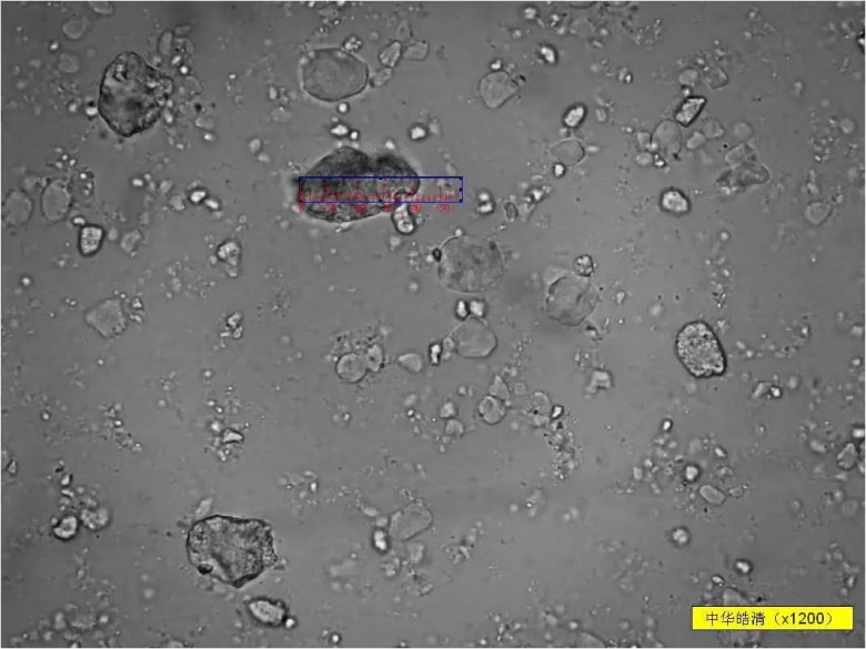 093822_627627_jswz.jpg 093822_627627_jswz.jpg