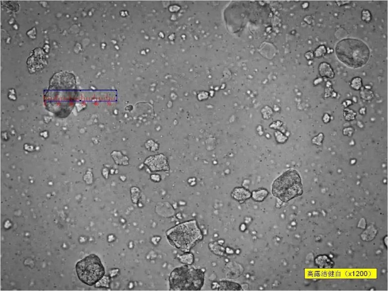 093822_826151_jswz.jpg 093822_826151_jswz.jpg