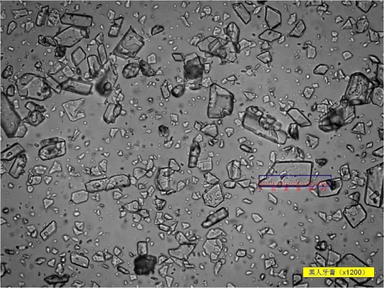 093822_989565_jswz.jpg 093822_989565_jswz.jpg