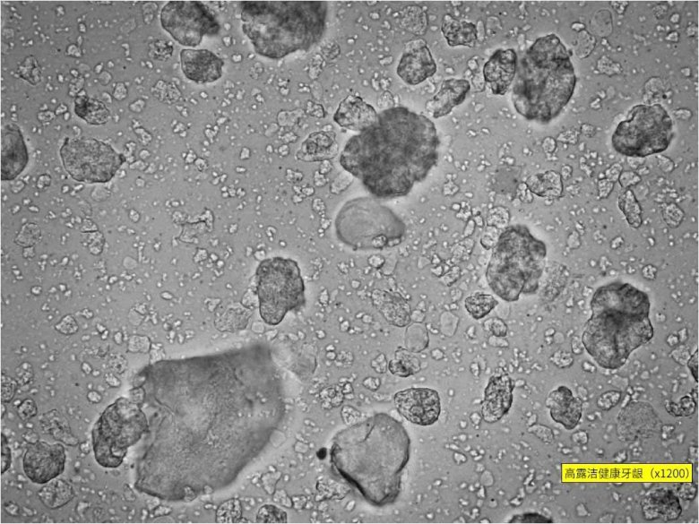 093823_156671_jswz.jpg 093823_156671_jswz.jpg