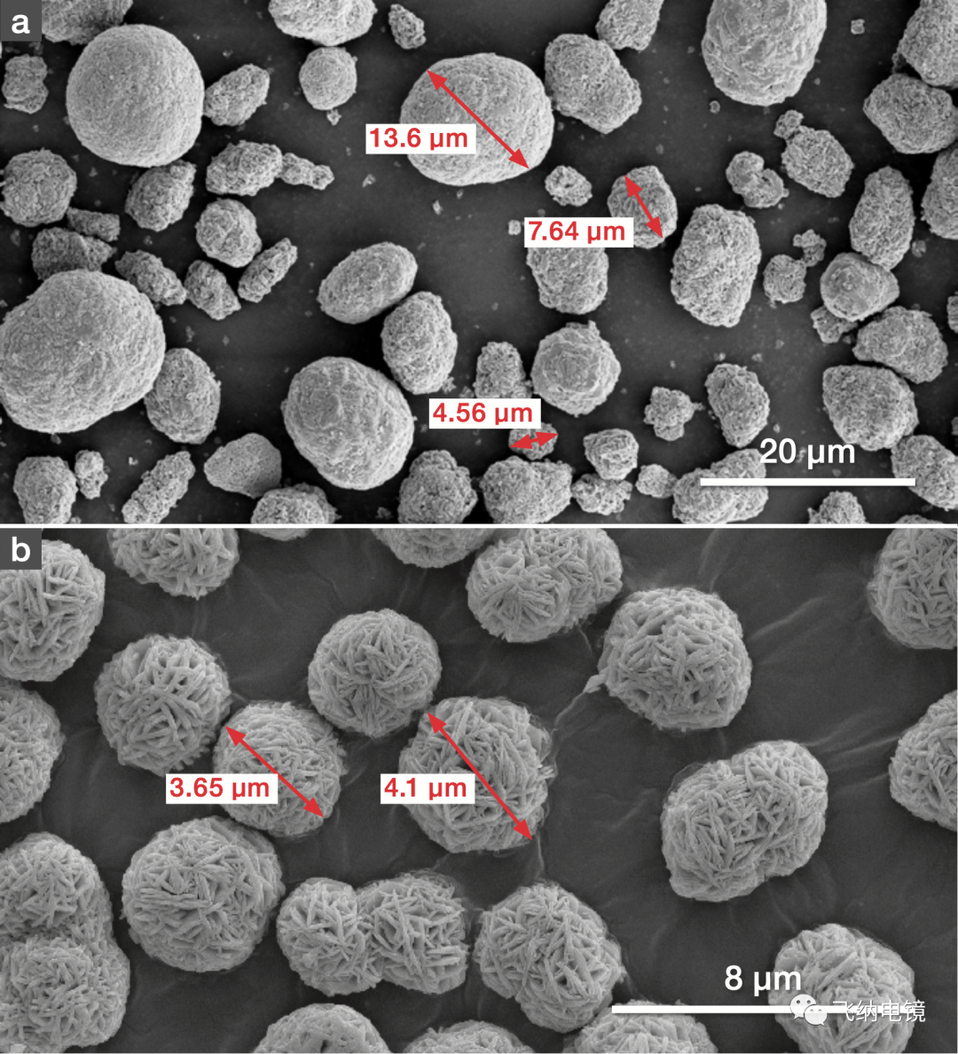 掃描電鏡下不同的合成條件下的 NCM 前驅體 a)具有寬粒徑粒徑分布的前驅體顆粒b)具有窄粒徑分布和多孔結構的前驅體顆粒