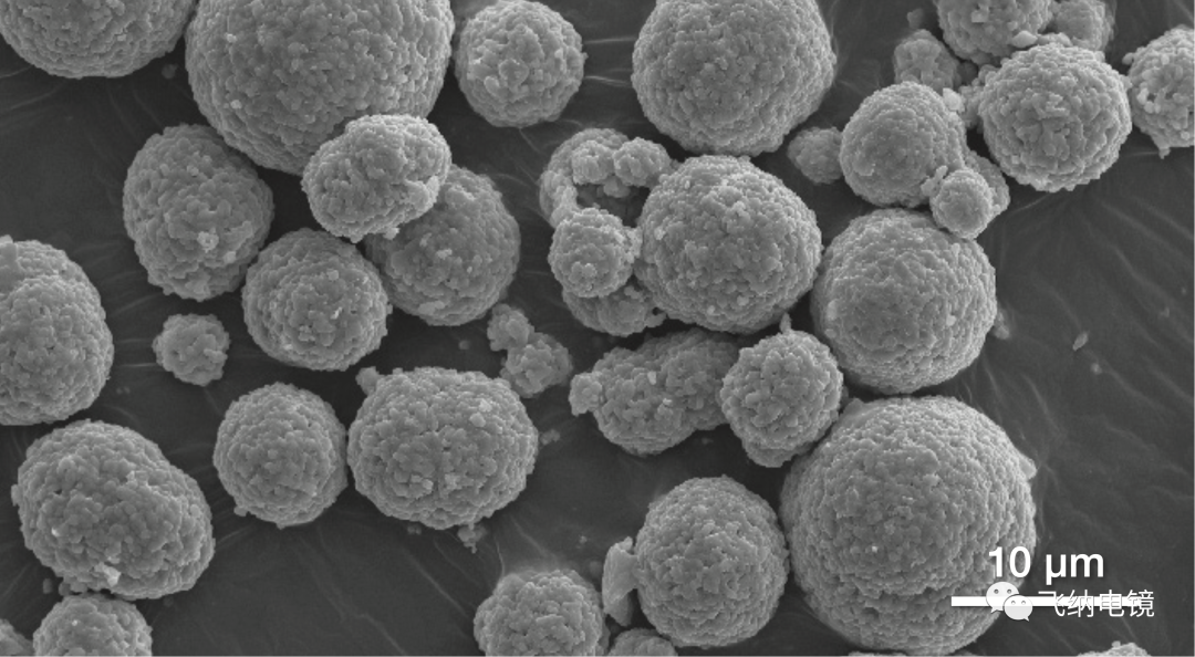 由 Phenom ParticleMetric 軟件測量的多晶 NCM 顆粒,顯示分布著大量的二次顆粒