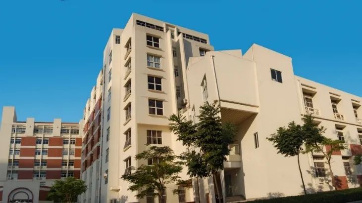 084313_433008_gsdt.jpg 084313_433008_gsdt.jpg