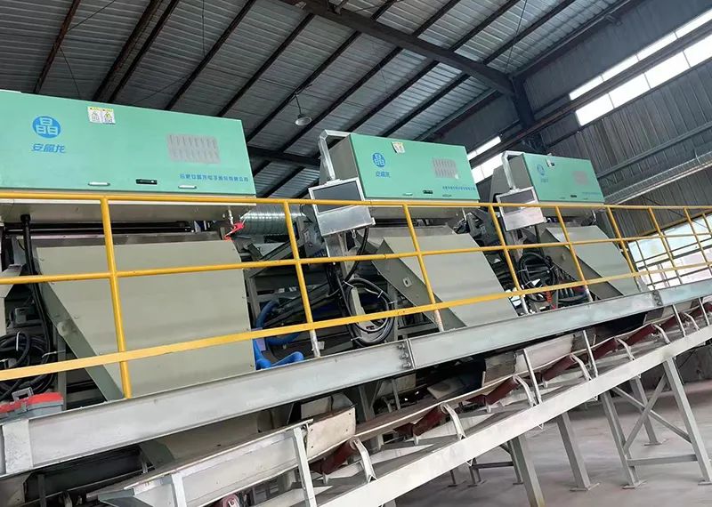 084353_041263_jswz.jpg 084353_041263_jswz.jpg