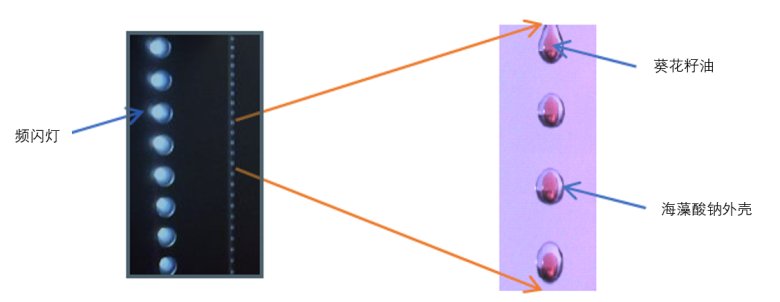 141407_396776_gsdt.png 141407_396776_gsdt.png