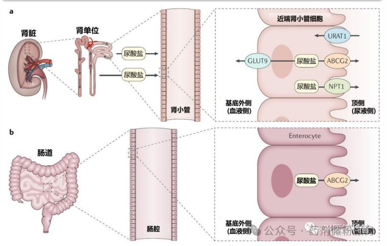 091802_937867_jswz.png 091802_937867_jswz.png