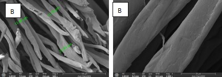 144024_307518_jswz.png 144024_307518_jswz.png