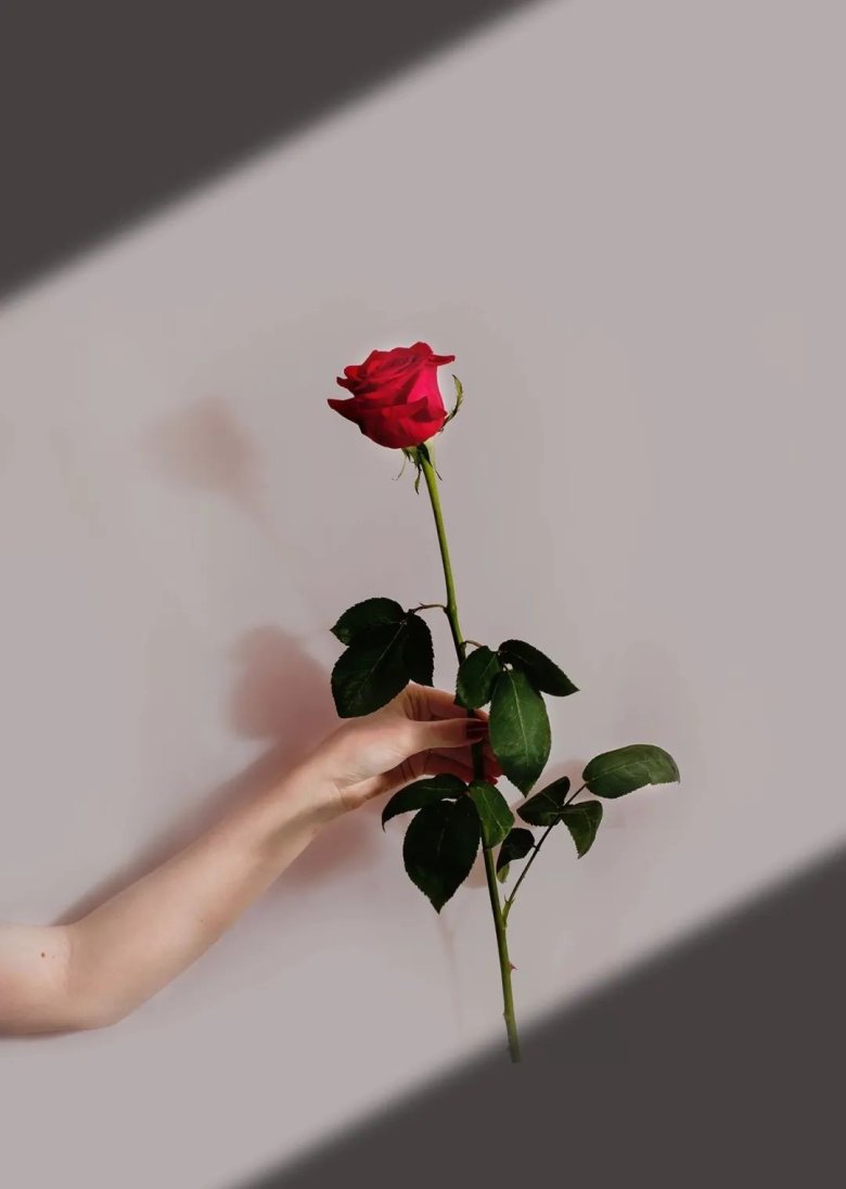 140439_760494_gsdt.jpg 140439_760494_gsdt.jpg