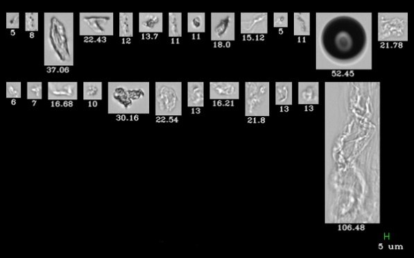 152806_060897_gsdt.png 圖片 2.png