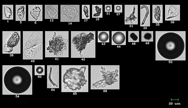 152814_533297_gsdt.png 圖片 1.png