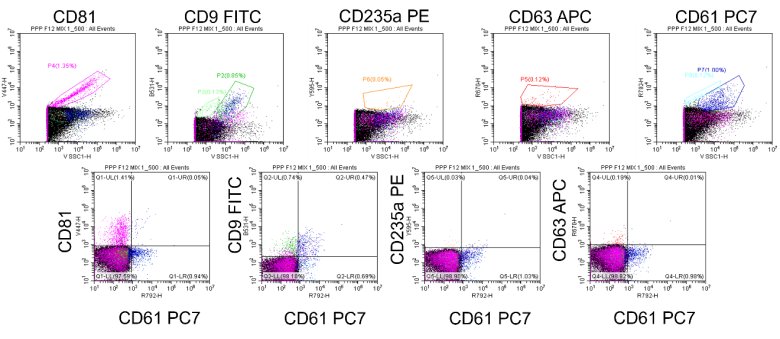 160106_404976_gsdt.png 160106_404976_gsdt.png