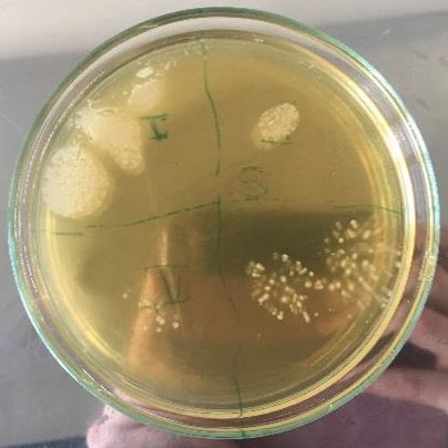 201534_033635_gsdt.png 6.png