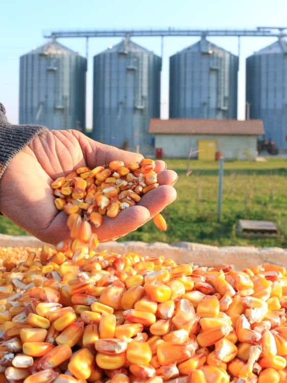 094553_502484_gsdt.jpg 1.jpg