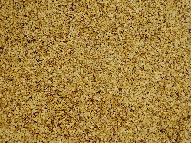 091235_825566_jswz.jpg 091235_825566_jswz.jpg