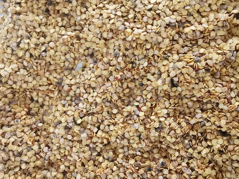 091308_516815_jswz.jpg 091308_516815_jswz.jpg