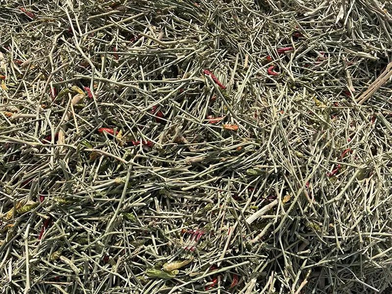 091426_045780_jswz.jpg 091426_045780_jswz.jpg