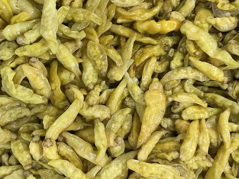 091610_852545_jswz.jpg 091610_852545_jswz.jpg