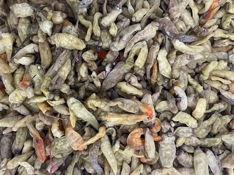 091628_197726_jswz.jpg 091628_197726_jswz.jpg