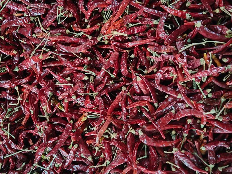 091657_473970_jswz.jpg 091657_473970_jswz.jpg