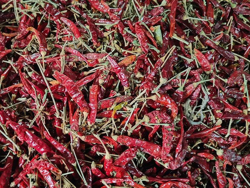 091736_042819_jswz.jpg 091736_042819_jswz.jpg