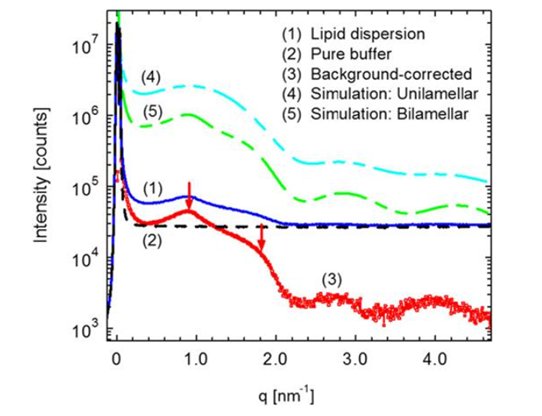 132809_674872_jswz.png 馬爾文-3.png