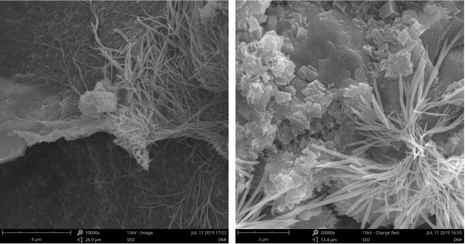 圖 3 掃描電鏡混凝土截面形貌二次電子圖(SE)