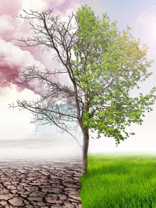 093006_496032_gsdt.jpg 2.jpg