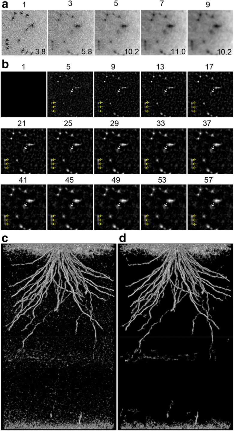 111804_425586_jswz.png 111804_425586_jswz.png