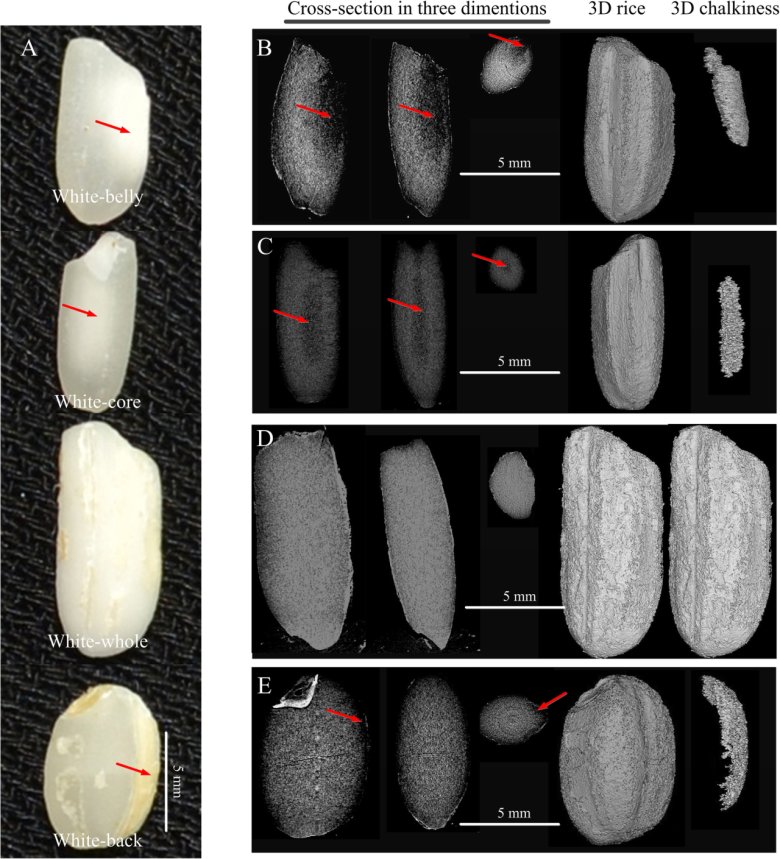 111835_275506_jswz.png 111835_275506_jswz.png