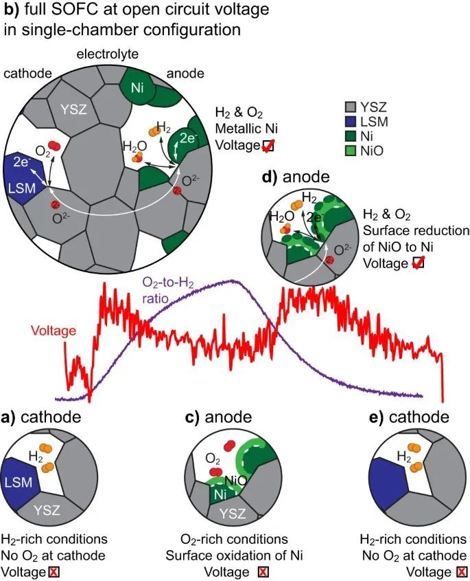 在 ETEM 中觀察到的單室配置&nbsp;SOFC 運行示意圖。