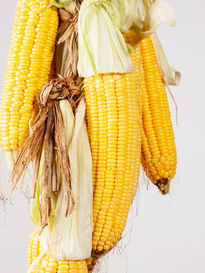 100414_377201_gsdt.jpg 2.jpg