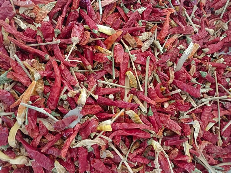 091835_936607_gsdt.jpg 091835_936607_gsdt.jpg