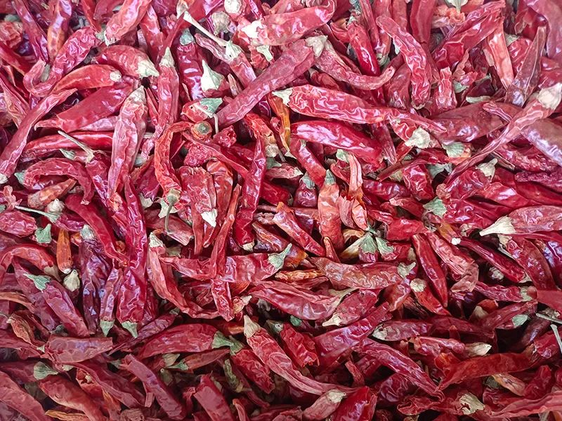 091855_775505_gsdt.jpg 091855_775505_gsdt.jpg