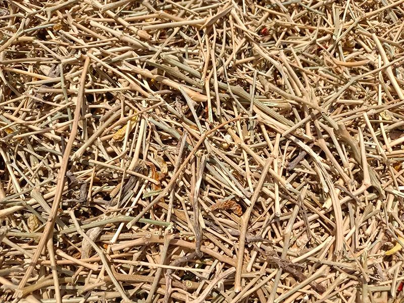 091913_046735_gsdt.jpg 091913_046735_gsdt.jpg