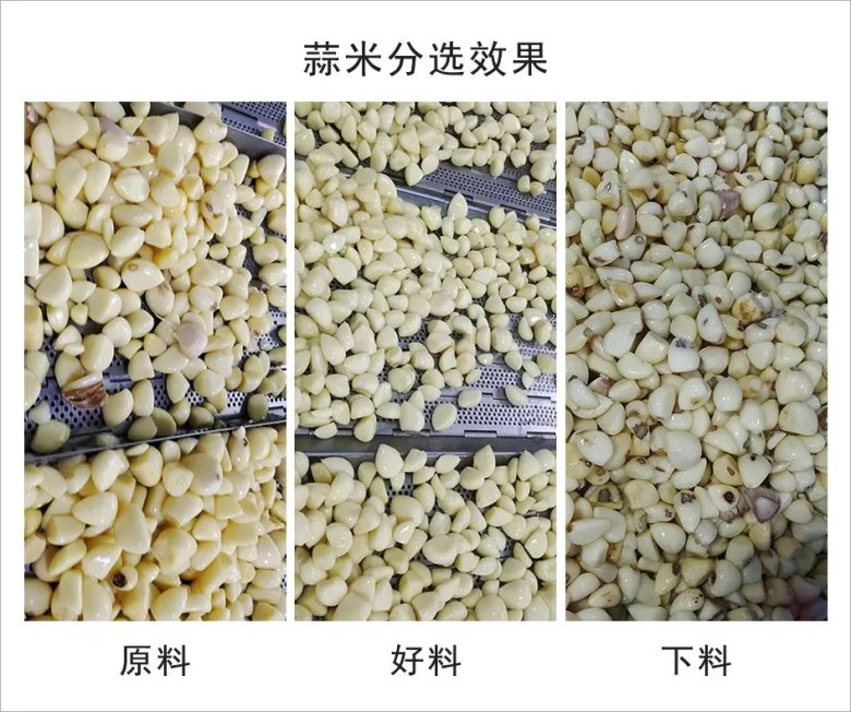 090822_944997_gsdt.jpg 090822_944997_gsdt.jpg