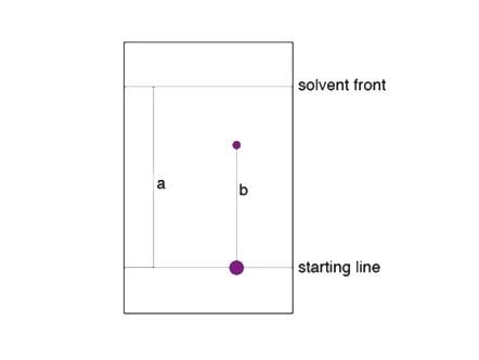 091525_221666_gsdt.jpg 3.jpg