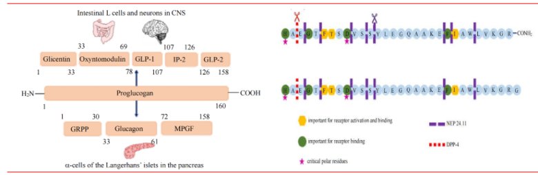 083634_806831_jswz.png 083634_806831_jswz.png