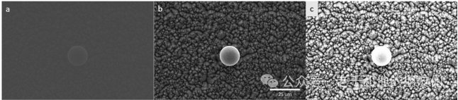 160201_113123_jswz.png 640(30).png