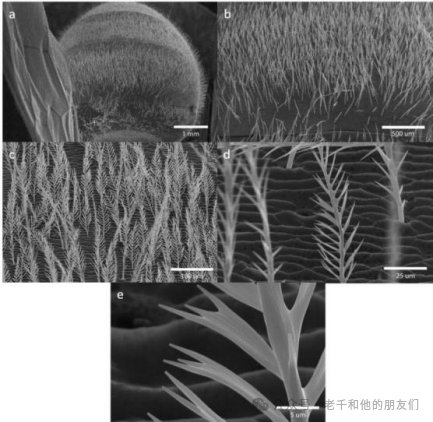 160224_635826_jswz.png 640(33).png