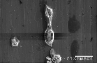 160349_389334_jswz.png 640(42).png