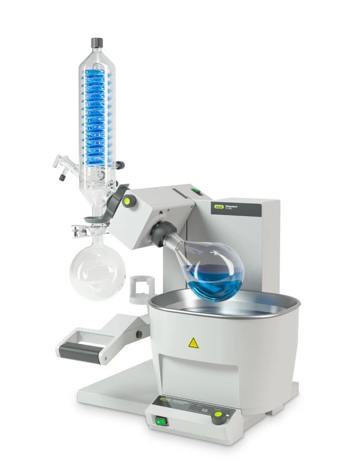 100325_067309_gsdt.jpg 6.jpg