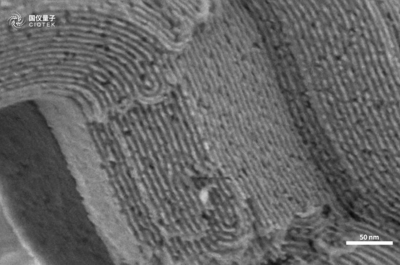 084914_777281_gsdt.png 084914_777281_gsdt.png