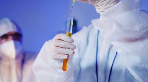 090655_878413_gsdt.png image.png