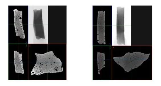 095506_258483_jswz.jpg 微信圖片_20240809095000.jpg