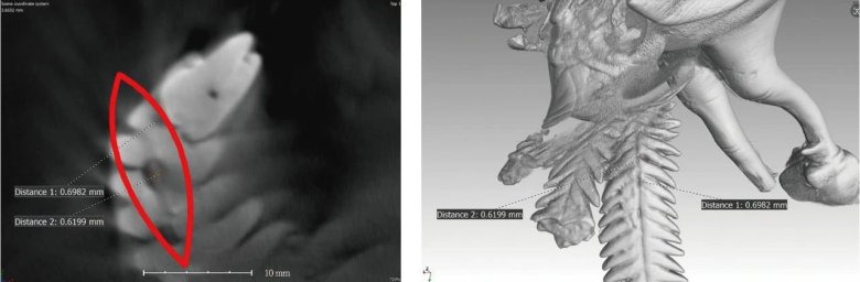 095649_979341_jswz.jpg 095649_979341_jswz.jpg