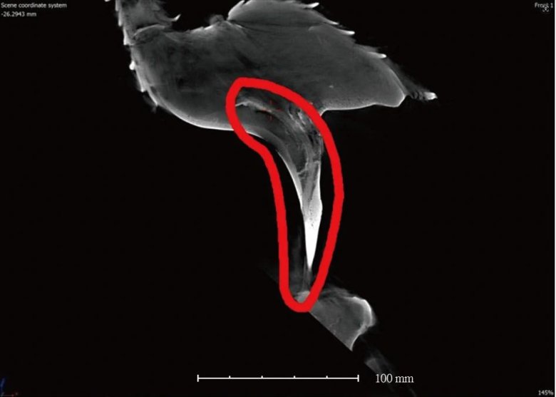 095706_209218_jswz.jpg 095706_209218_jswz.jpg