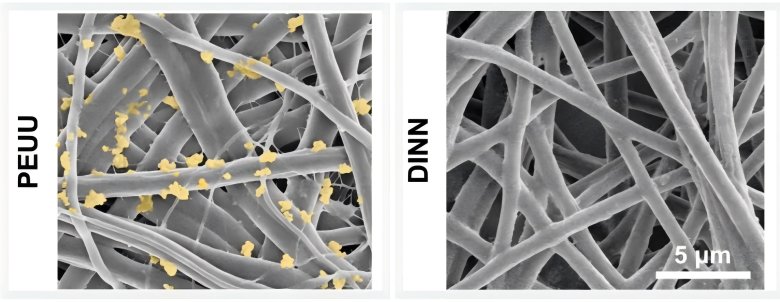 145228_382478_jswz.png 6(1).png