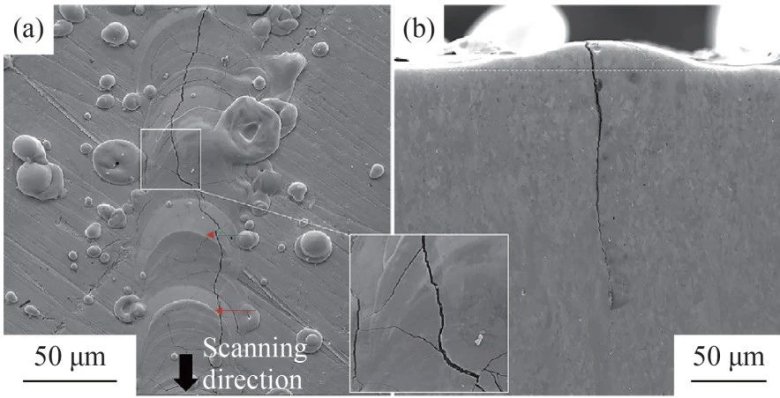 111117_634858_jswz.jpg 111117_634858_jswz.jpg