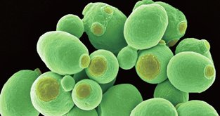 090947_690238_jswz.png 090947_690238_jswz.png