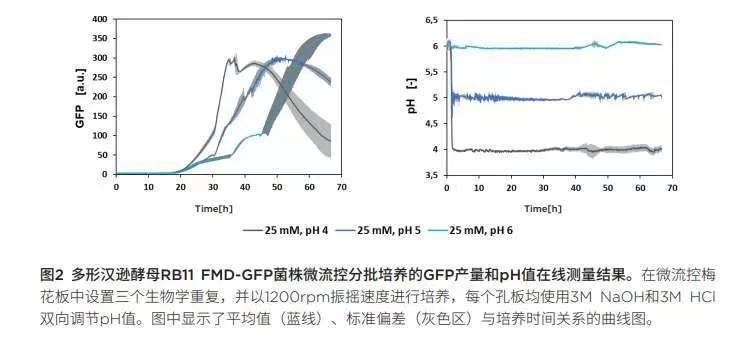 091221_824567_jswz.jpg 091221_824567_jswz.jpg